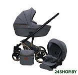 Картинка Универсальная коляска Ray Ultra Gold (2 в 1, 03)
