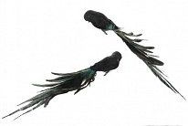 Картинка Игрушка Shishi Птичка с черно-зеленым хвостом 51243