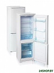 Картинка Холодильник Бирюса 118