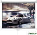 Проекционный экран Future Vision Business 300 300x218 W300WMW