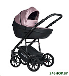 Картинка Детская универсальная коляска RIKO Basic Pacco 2 в 1 (02, розовый/черный)
