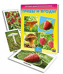 ДИД. ПОСОБИЕ. ГРИБЫ И ЯГОДЫ (Арт. ПД-7215)