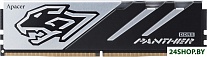Panther 16ГБ DDR5 5600 МГц AH5U16G56C5227BAA-1