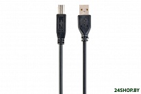 Картинка Кабель Cablexpert CCF2-USB2-AMBM-15 (черный)