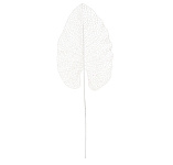 Картинка Украшение Koopman YZA000280