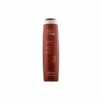 Шампунь для окрашенных волос Baco Colorpro Shampoo с гидролизатами шелка и кератином