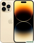 iPhone 14 Pro Max 1TB (золотистый)