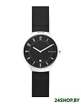 Картинка Наручные часы Skagen SKW6459