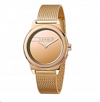 Картинка Наручные часы Esprit ES1L019M0095