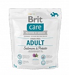 Картинка Сухой корм для собак Brit Care Grain-free Adult Salmon & Potato 1 кг