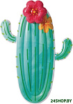 Кактус 58793