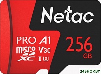 Картинка Карта памяти Netac P500 Extreme Pro 256GB NT02P500PRO-256G-S