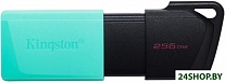 Картинка USB Flash Kingston DataTraveler Exodia M 256GB