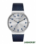 Картинка Наручные часы Skagen SKW6162