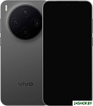 X300 V2515 12GB/256GB международная версия (черный)
