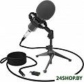 Микрофон Ritmix RDM-160 Black