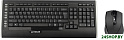 Клавиатура и мышь A4Tech 9300F Black USB