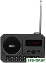 Радиоприемник Ritmix RPR-010