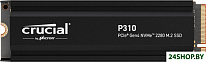 P310 500GB CT500P310SSD8