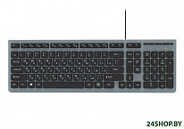 Картинка Клавиатура Ritmix RKB-400 (серый)