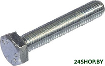 SKS M12x85 505553 (100 шт)