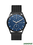 Картинка Наручные часы Skagen SKW6450