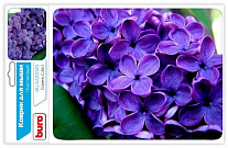 Картинка Коврик для мыши Buro BU-M20049