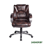 Картинка Кресло Brabix Eldorado EX-504 (коричневый)