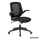 Картинка Кресло Бюрократ CH-495 BLACK