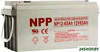 NP 12-65.0 (12В/65.0 А·ч)