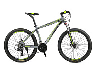 Картинка Велосипед Pioneer Master (серый/черный/зеленый)