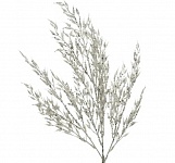 Картинка Новогодняя ветка Greenterra Луговые травы 220470 (белый)