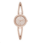 Картинка Наручные часы DKNY NY2853
