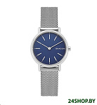 Картинка Наручные часы Skagen Signatur SKW2759