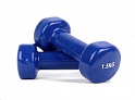 Гантели ARTBELL DB19-1,5 2x1,5 кг (синий)