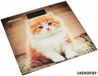 Картинка Напольные весы Аксинья КС-6000 (рыжий кот)