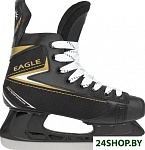 Картинка Коньки хоккейные SUNDAYS Eagle PW-206AJ (р-р 39)