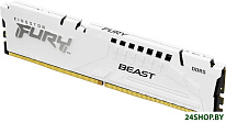 FURY Beast 32ГБ DDR5 5600 МГц KF556C36BWE-32