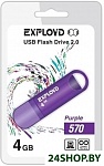 Картинка USB флэш-накопитель EXPLOYD 570 4GB фиолетовый