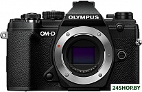 Картинка Беззеркальный фотоаппарат Olympus E-M5 Mark III Body (черный)