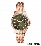 Картинка Наручные часы Fossil FB-01 ES4970
