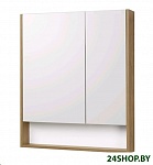 Картинка Шкаф с зеркалом для ванной АКВАТОН Сканди 70 1A252202SDZ90
