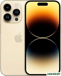 iPhone 14 Pro 1TB (золотистый)