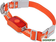 Flashl Headl Rech Flex