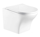 Картинка Унитаз WeltWasser Odenbach 004 MT-WT (белый матовый)
