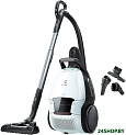 Пылесос Electrolux Pure D9 PD91-6IWX
