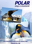Картинка Фотобумага Polar сетка 3D A4, 260 г/м2, 5 л [A4P8551]