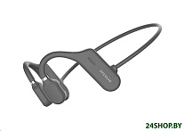 Картинка Наушники ZDK Openear Duet (черный)