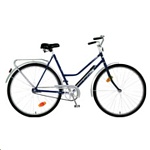 Картинка Велосипед Aist 112-314 2022 (синий)