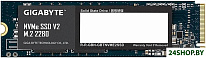 NVMe SSD V2 256GB G3NVMEV2256G